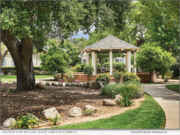 Hillcrest Senior Living Offers an Ideal Community for Solo Agers – and a Summer Camp to Match | National News