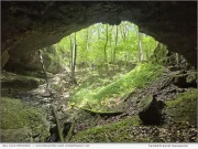 Southeastern Cave Conservancy, Inc., Purchases Mill Hole Cave and Surrounding Lands | National News